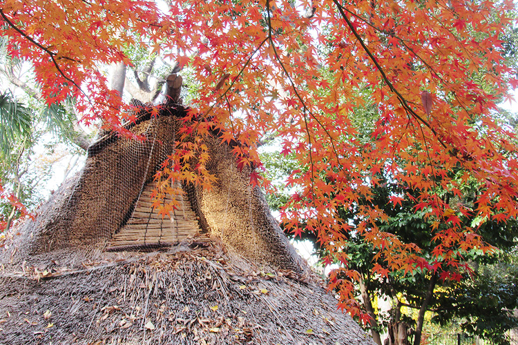 境内案内 代々木八幡宮