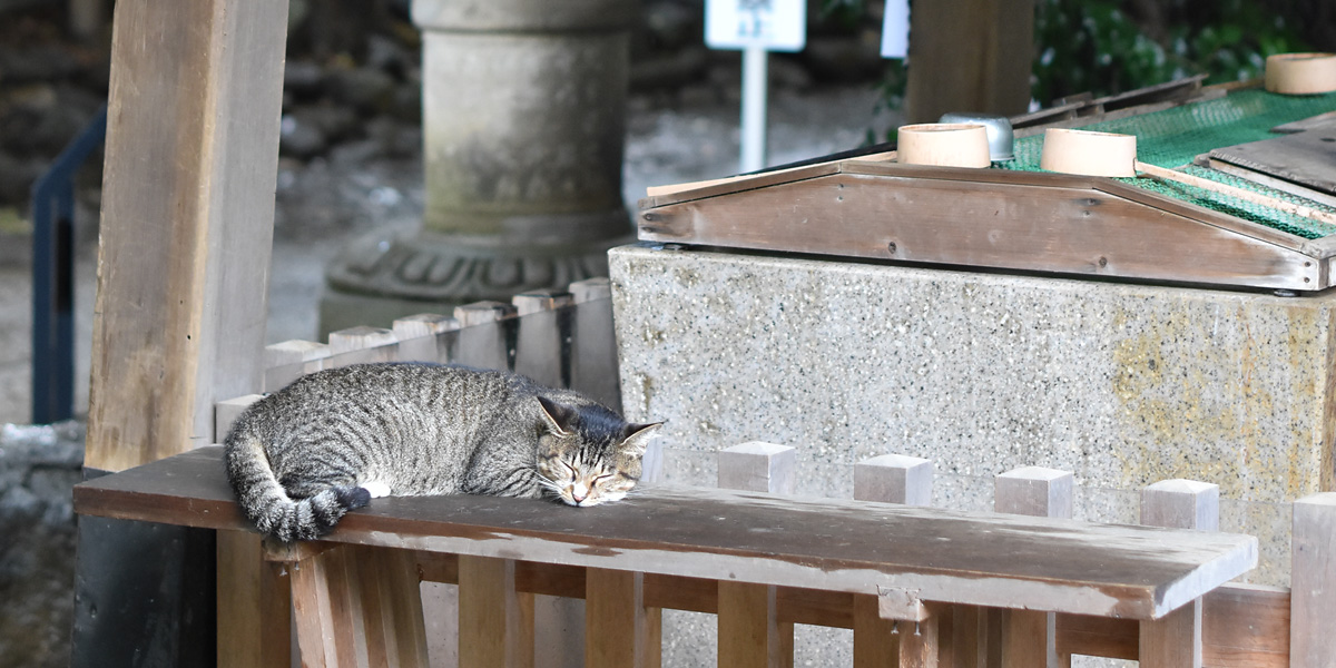 よくあるご質問